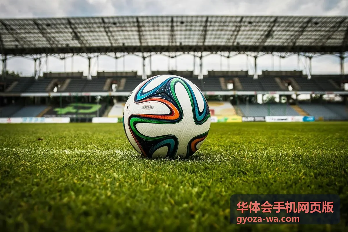 华体会手机网页版报名表单填写示例
