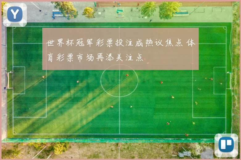 世界杯冠军彩票投注成热议焦点 体育彩票市场再添关注点
