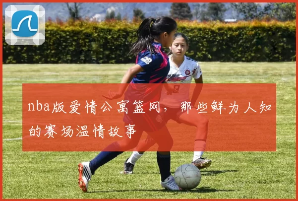 nba版爱情公寓篮网，那些鲜为人知的赛场温情故事