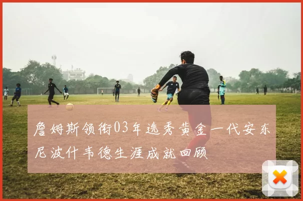 詹姆斯领衔03年选秀黄金一代安东尼波什韦德生涯成就回顾