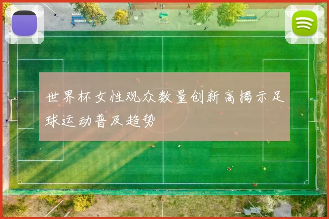 世界杯女性观众数量创新高揭示足球运动普及趋势