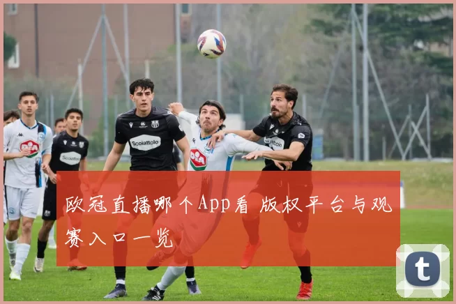 欧冠直播哪个App看 版权平台与观赛入口一览