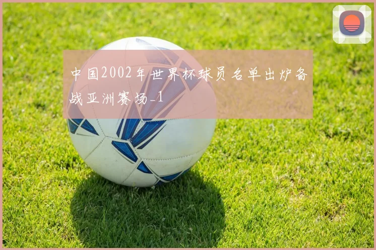 中国2002年世界杯球员名单出炉备战亚洲赛场_1