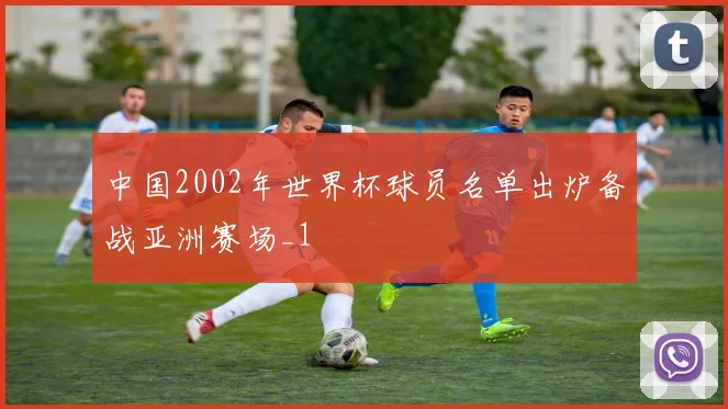 中国2002年世界杯球员名单出炉备战亚洲赛场_1
